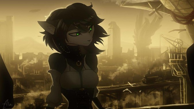 为什么网络上都在说隋坡厉害？